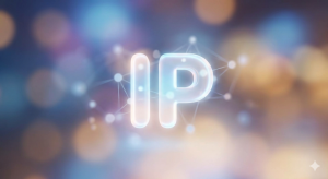 IP Adresi Türleri Nelerdir Dedicated IP Ne İşe Yarar(1)